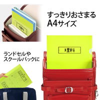 プラス ファイル 年組氏名 スクール クリアホルダー A4 グリーン 79736 1セット（100枚：10枚×10）