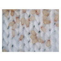 ダニ捕りシートDX　TKR-16