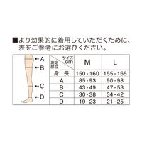 【セール】寝ながらメディキュット フワッとキュッと パジャマレギンス ネイビーグレー L Dr.Scholl（ドクターショール) レディース
