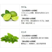 【数量限定】 入浴剤 クール クナイプ バスソルト ライムミントの香り ボトル 850g 1セット 1個 クナイプジャパン