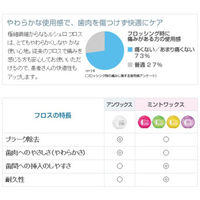 歯科医院取扱品 ルシェロ フロス ミント ワックス パープル 30m ジーシー