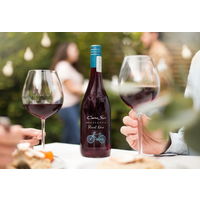 チリ　コノスル ピノ・ノワール ビシクレタ クールレッド 赤ワイン　ミディアムボディ　750ml 1本　スマイル