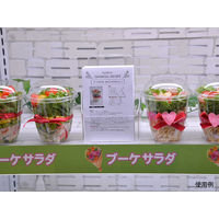 パックスタイル PS 14OZサラダ 本体 00563287 1袋(50枚)