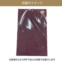 【数量限定ギフト】 グラッドリキュール バブルバス 約280mL 2本セット 化粧箱入り 1個 ノルコーポレーション