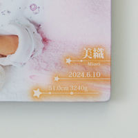 JVIS クリスタルフォトパネル S(お仕立て券) 24-7055-035 1袋（直送品）