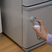 カメムシ コバエ ユスリカ ムカデ 蜂 お部屋の虫キラー ワンプッシュ 160畳分 1個 フマキラー