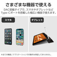 エレコム イヤホン/USB Type-C/デジタル式/カナル/10mmドライバ/イヤーアーム付き/シルバー EHP-DF12CMSV 1個