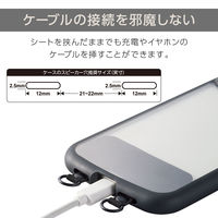 エレコム ストラップホールシート/2口タイプ/2枚入り/ブラック P-STHD2BKN 1個