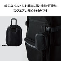 エレコム TWS用汎用コンパクトポーチ/Lサイズ/カラビナ/パファータイプ/ブラック TWS-EP23PLBK 1個