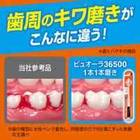 ピュオーラ PureOra36500 歯ブラシ 極小＆密着ヘッド 歯周のキワまで1本1本磨き ハブラシ ふつう 1本 花王