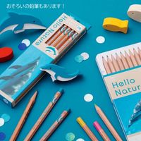 トンボ鉛筆 缶入色鉛筆 ハローネイチャー ハンドウイルカ CB-KHNDL0312C 1個（12色入）