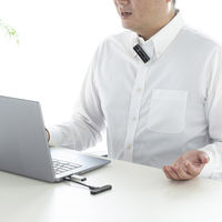 サンワサプライ ワイヤレスマイク(マイク2台) MM-MCW02 1個（直送品）