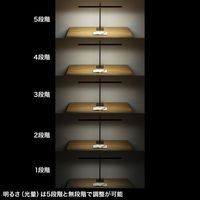 サンワサプライ LEDデスクライト・フレキシブルアーム LED-DESK3BK 1個（直送品）