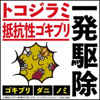 アースレッド プロα 6～8畳用 3個パック アース製薬 ゴキブリ イエダニ ノミ トコジラミ ハエ 蚊【第2類医薬品】
