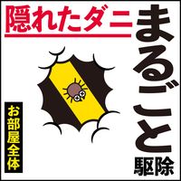 ダニアースレッド 12～16畳用 3個パック×3セット アース製薬 イエダニ ノミ ハエ 蚊【第2類医薬品】