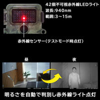 サンコー 置くだけ簡単「トレイル防犯カメラ」 AUTMTSHNA 1台