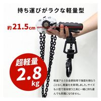 ベスト・アンサー 軽量小型レバーホイスト VH 0.5t lh-vh050-4p 1セット(4台入)（直送品）