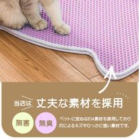 ベスト・アンサー 猫砂 砂取り 可愛い マット 49×65cm ベージュ pet-082-be-2p 1セット(2枚入)（直送品）