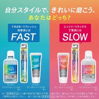OCH-TUNE（オクチューン） マウスウォッシュ SLOW シルキーマイルドミント 口臭 口中浄化 600mL 1本 ライオン