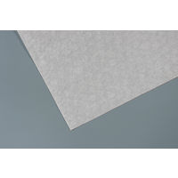 ペーパータオル 小判 バガス パルプ シングル エコノミー FR-6641 1セット（1袋（200枚入）×96）ファーストレイト