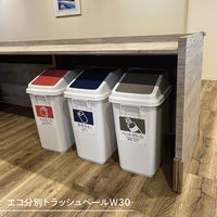 テラモト エコ分別トラッシュペールW30 本体 DS2451000 1台