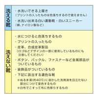 アイメディア 白さが際立つスニーカー洗剤 1007657 1個（直送品）