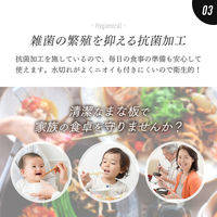 アイメディア 食洗機対応丸いまな板耐熱エラストマー ブラック 1009644 1個（直送品）