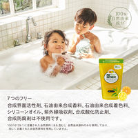 パックスナチュロン ボディーソープ 詰替用 柚子みかん ５００ml 1セット(3個) 敏感肌 天然由来100% 無添加 せっけん ゆず 【泡タイプ】