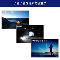 朝日電器 小型ポータブルライト DOP-PL05 1個