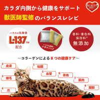 【ロハコサンプル】ビューティープロ キャット Wケア 腸内・自然免疫ケア 1歳から フィッシュ味 国産 150g 1袋 お試し