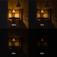 TIC ORIGAMI LAMP PORTABLE ブラス マットベージュ TC-2501-BS/MBE 1台（直送品）