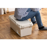 アイリスオーヤマ TRAILBOX 800幅 頑丈ボックス ホワイトアッシュ TRB-800 1個