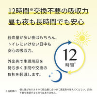【生理用品】 大王製紙　エリス ショーツナプキン M～L 昼・夜 長時間用 ブラックカラー 1ケース（4枚入×18パック）