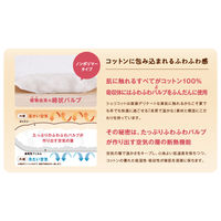 【生理用品】 第一衛材　シェリコット オーガニックコットンナプキン 29cm 羽つき 多い日の昼～夜用 1個（8枚） BOXタイプ