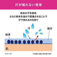 ファイントゥデイ エージーデオ24デオドラントスティックＤＸフローラルブーケ医薬部外品20g 832199 1ケース（20G×36個）（直送品）