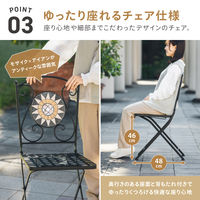 武田コーポレーション トゥインクルタイルチェアー TIR8-CBK 1箱(2脚入)（直送品）