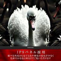 27インチ ディスプレイ PCモニター GJLM-27FF2-270 1台 Gigastone（直送品）