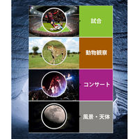 サイエルインターナショナル 12×50高倍率双眼鏡 SLI-HSB01 1個