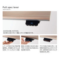 【組立設置込】コクヨ 昇降デスク シークエンス ウィング机 幅1750mm グレー×黒 DSE-LWF1808F-6AG83 1台（直送品）