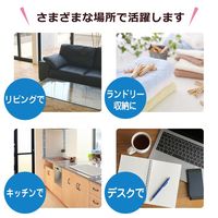 JEJアステージ ファイルボックスL クリア 1セット(3個)