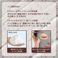 ツルリ 洗顔ペースト ガスール 120g 泥洗顔＆パック BCL カンパニー