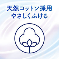 ビオレZero 化粧水成分in すがすがしいせっけんの香り 1個 花王 汗拭きシート