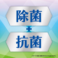 コバエコナーズ キッチン用 スプレー コバエよけ 腐敗抑制 250mL ミント 1本 KINCHO キンチョー