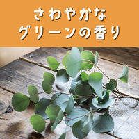 虫よけカオリング　大人用　６個入 虫よけ カオリング　虫除け 1袋（6個入） KINCHO キンチョー