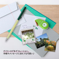 プラス デコレーションテープ デコラッシュ 幅6mm 森 52066 3個