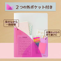 プラス スリムホルダーファイル パスティ A4タテ 4ポケット ラズベリーピンク クリアファイル 固定式 98862 2冊