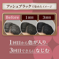 CIELO （シエロ） カラートリートメント リタッチ用 アッシュブラック 140g 白髪染め ホーユー