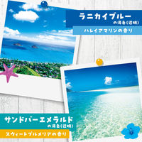 入浴剤 バスロマン 旅するハワイ バスソルト 4種アソート 個包装 1セット（12包入×4箱） アース製薬