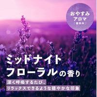 入浴剤 バスロマン メディテーションタイム くつろぎアロマ＆おやすみアロマ 2種アソート 1箱（12包入） アース製薬