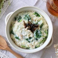 清水食品 国産鶏ささみフレーク オイル無添加 3袋パック 1個